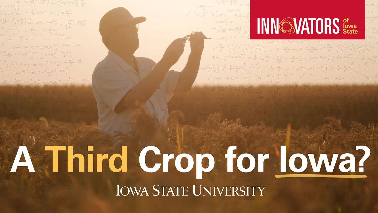 Innovators of Iowa State: A Third Crop for Iowa?